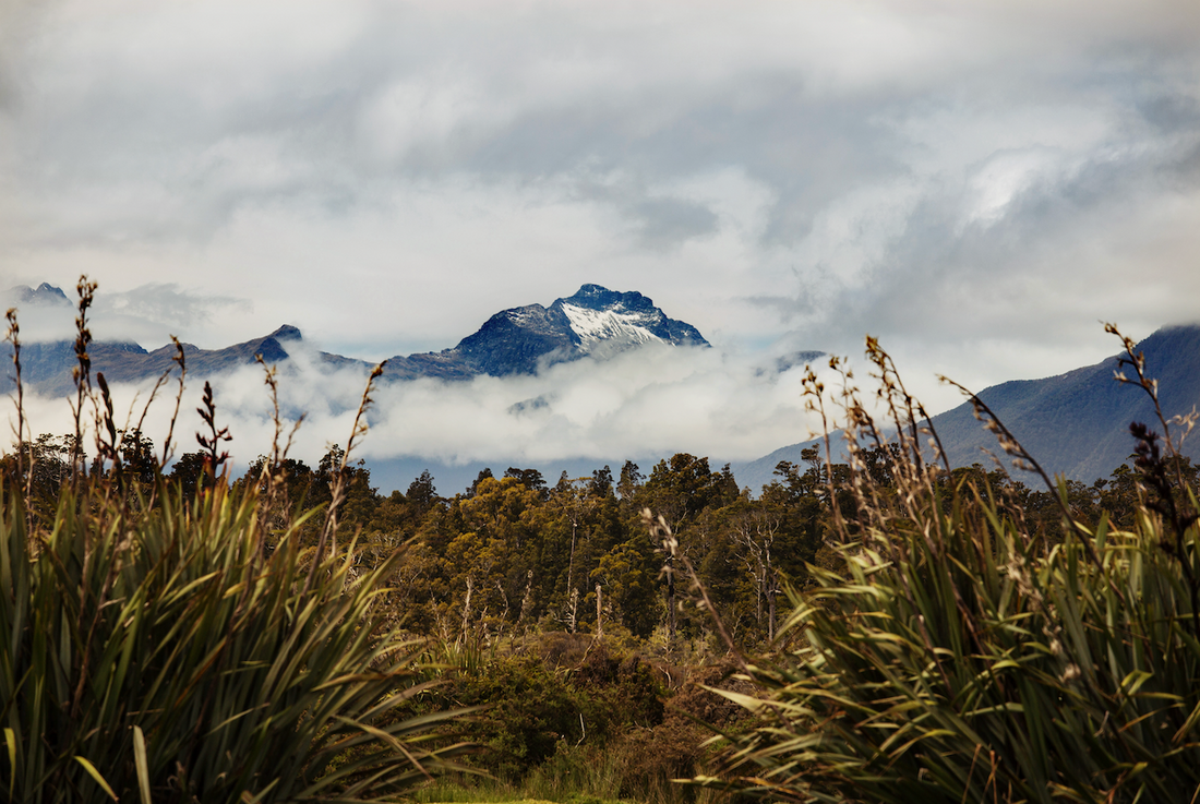 Untouched Locations taylor pass honey new zealand mountains nature