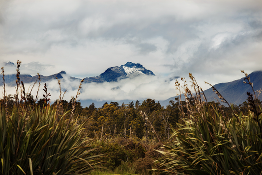 Untouched Locations taylor pass honey new zealand mountains nature