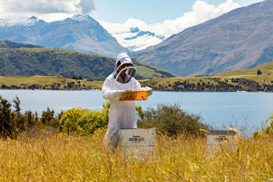 taylor pass honey beekeeper holding beehive new zealand mountains in background