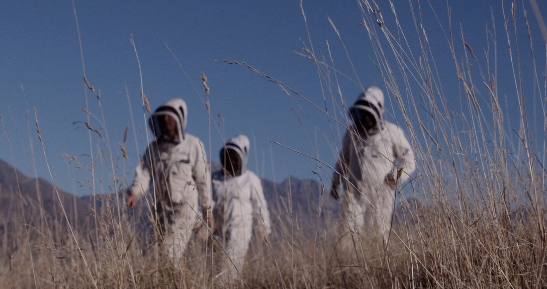 taylor pass honey new zealand beekeepers walking through field