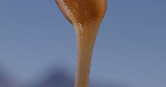 taylor pass honey new zealand manuka honey drip brush