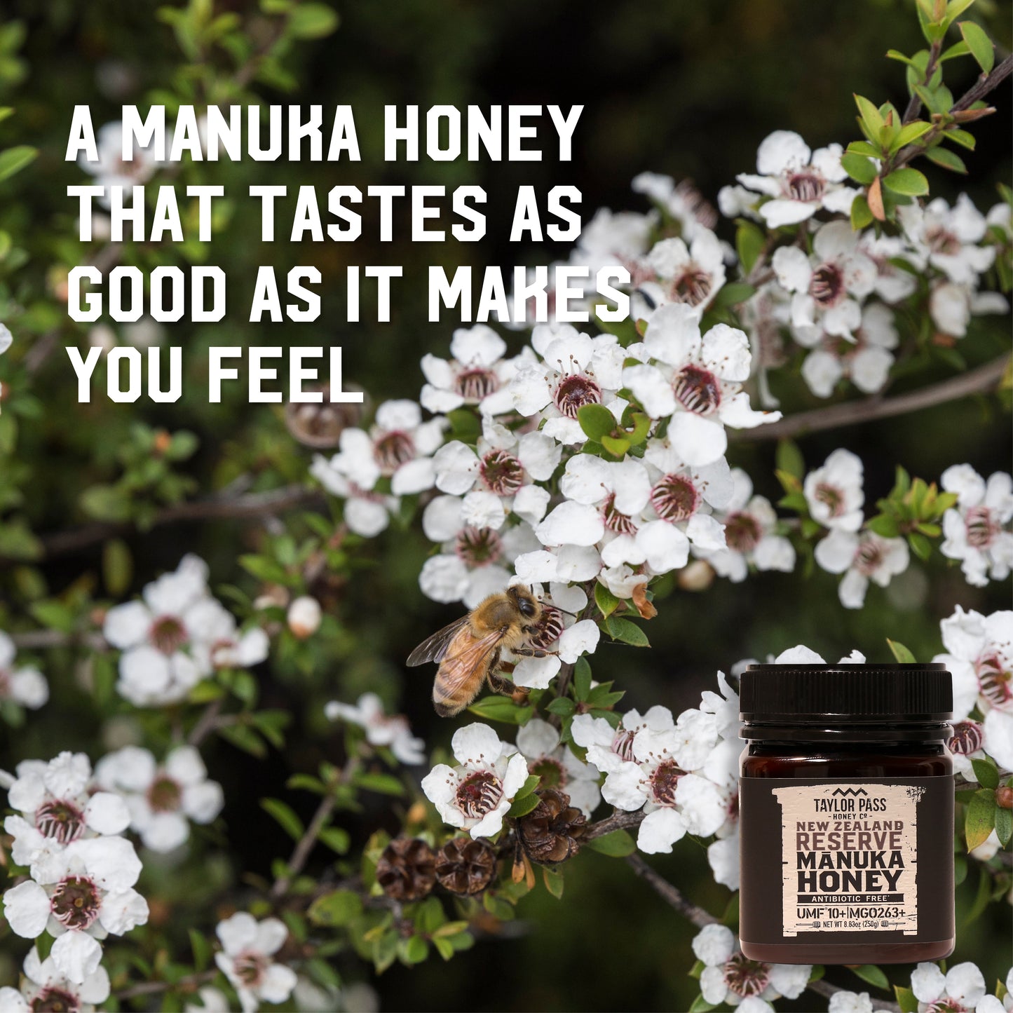 Taylor Pass Honey Co Reserve Mānuka Honey UMF 10+ MGO263+ 8.83oz