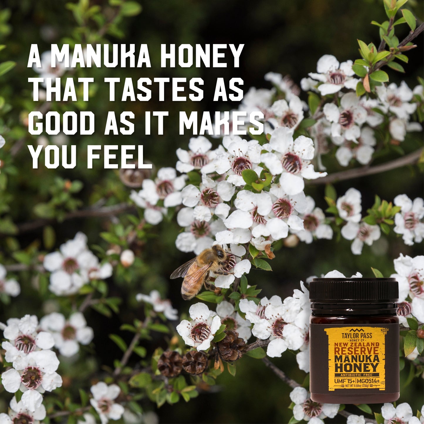 Taylor Pass Honey Co Reserve Mānuka Honey UMF 15+ MGO514+ 8.83oz