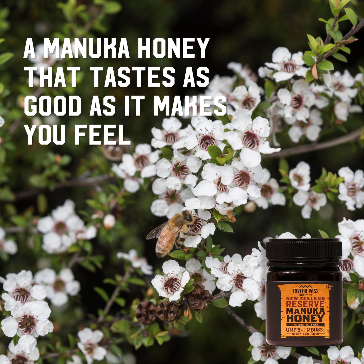Taylor Pass Honey Co Reserve Mānuka Honey UMF 5+ MGO83+ 8.83oz