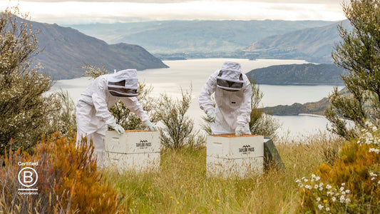 Two beekeepers working