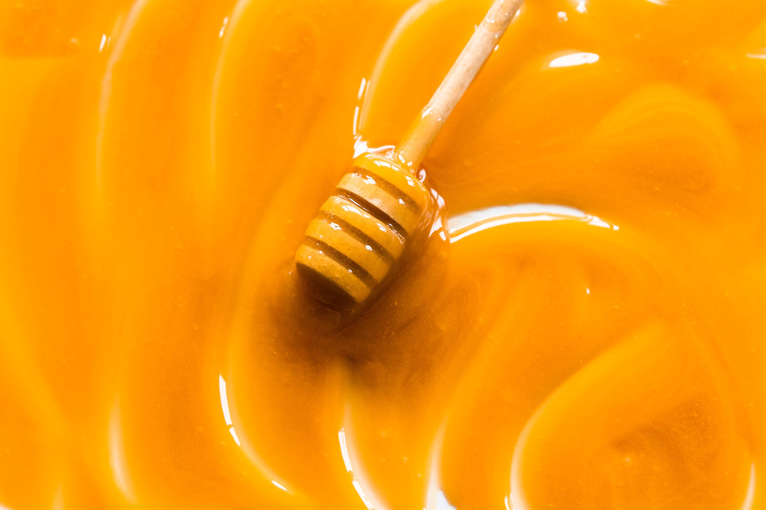 Science-Proven Mānuka Honey Health Benefits Explained