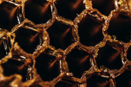 close up photo of beehive