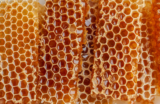 close-up-shot-of-honeycombs