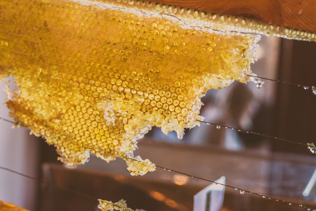 manuka honeycomb on wired rack
