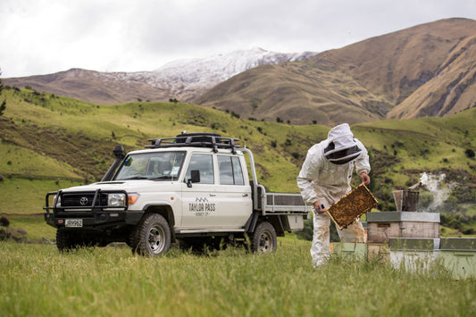 Why New Zealand Honey is Nature’s Immunity